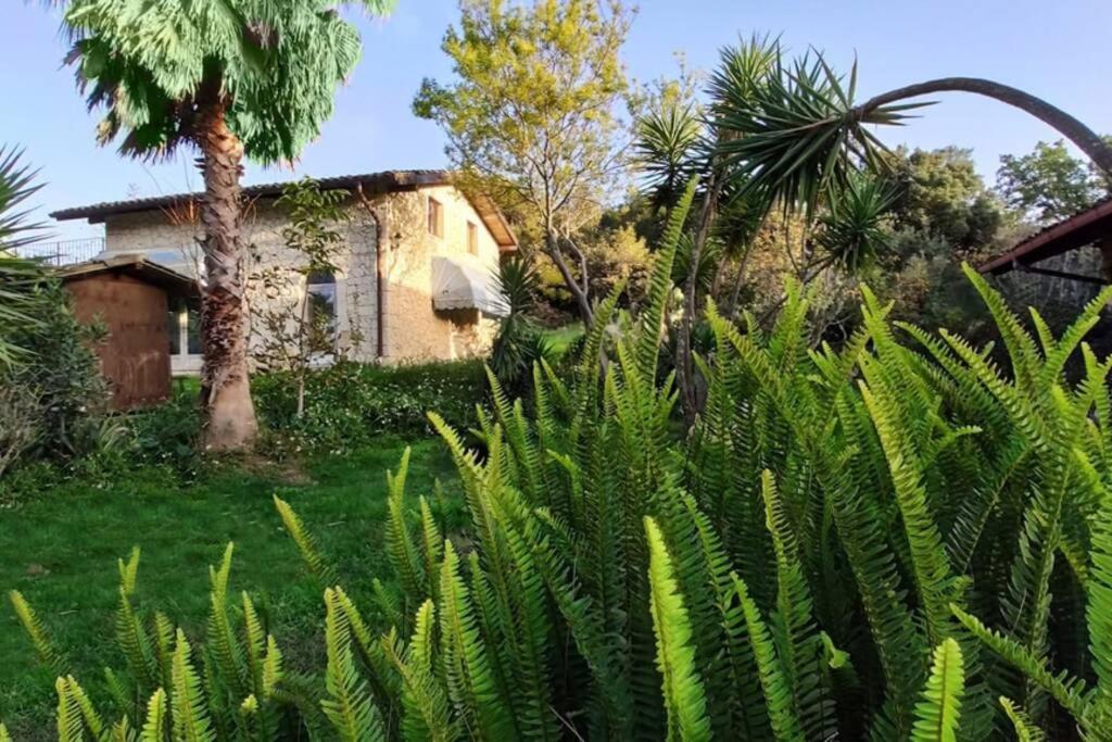 Villa Neli, Palazzolo Acreide, Siracusa, Hot Tub, Wi-Fi & Parking Zewnętrze zdjęcie